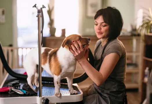 A woman is affectionately petting a dog that is comfortably resting on a table.